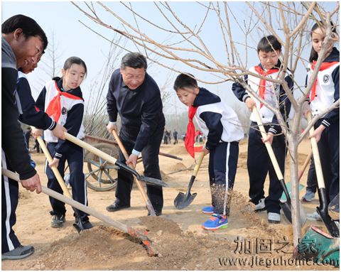 完善“顶层设计” 加固“四梁八柱”,习近平最新绿色发展理念