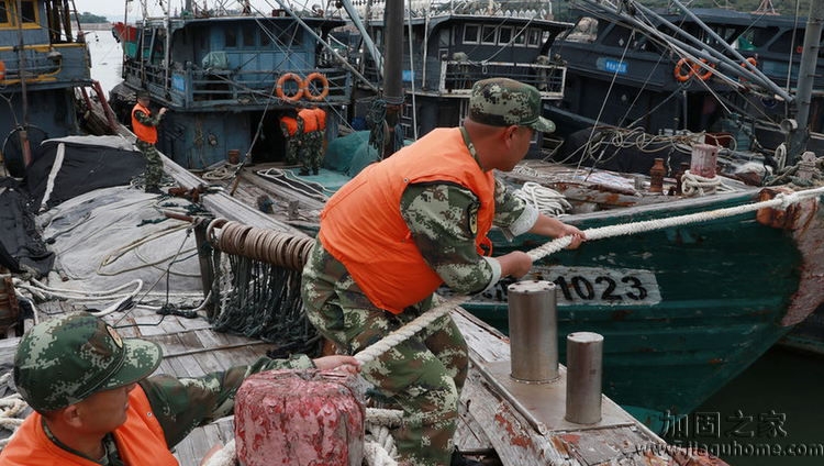 “天鸽”刚飞过“帕卡”又来临!潮州边防官兵为渔民加固渔船