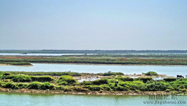 鄱阳湖