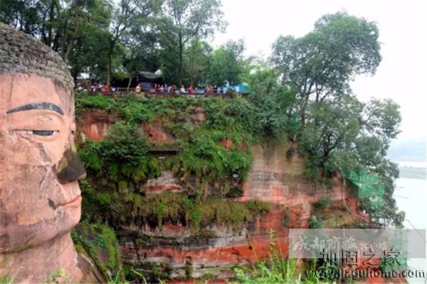 乐山大佛10月开始进行加固，预计明年2月完工