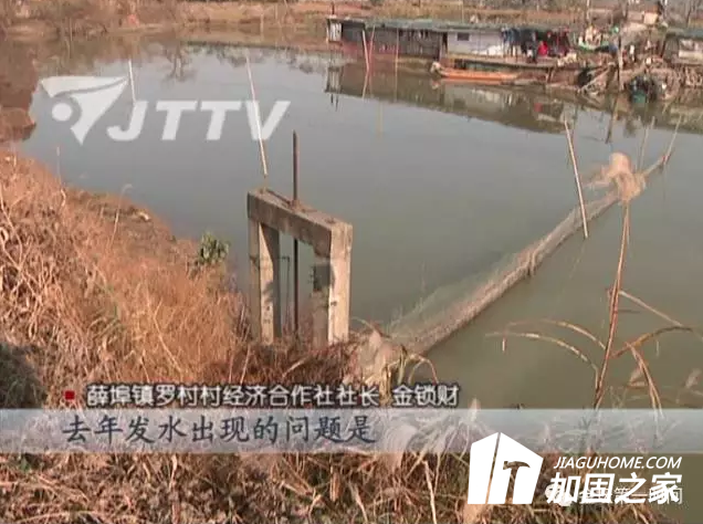 薛埠镇罗村村：加固圩堤防洪涝 村民担心施工质量