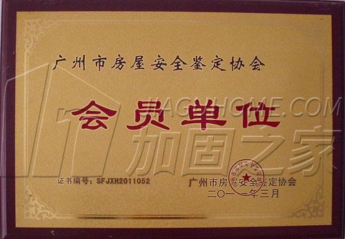 其他荣誉证书