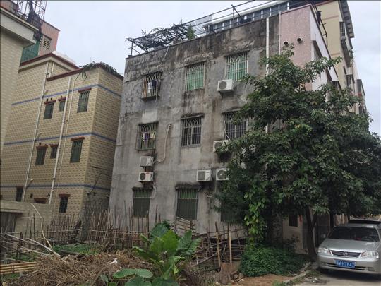 1536061760672813.jpg IMG_8493.JPG