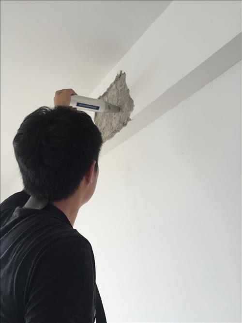 1558401856937494.jpg IMG_7256.JPG