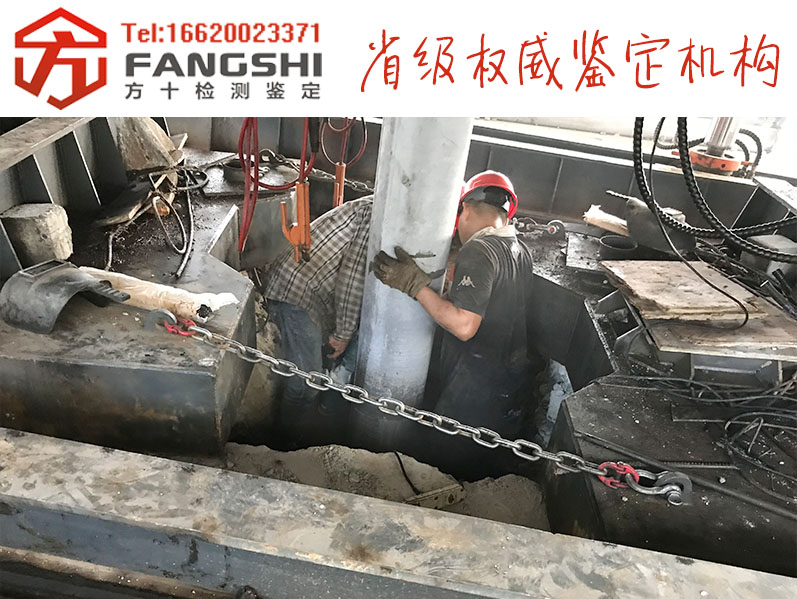 1558602023457603.jpg 7.jpg