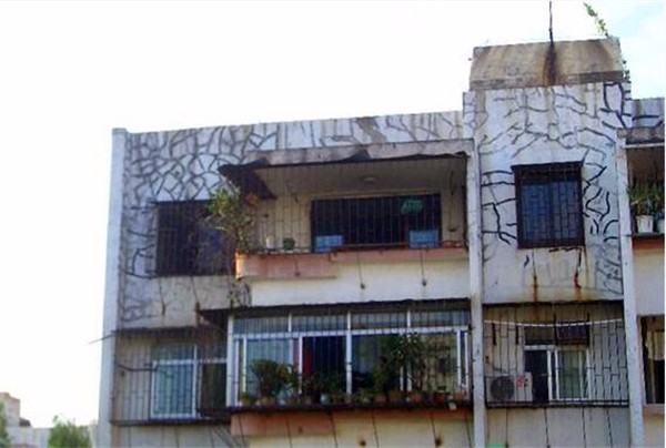 1558615658963877.jpg 150537159560300.jpg