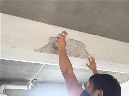 1558845145616146.jpg IMG_7229.JPG