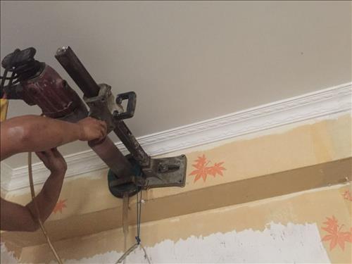 1558845868860803.jpg 微信图片_20171026080852.jpg