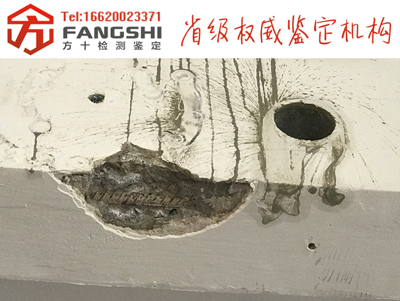 1558948099312243.jpg 24.jpg