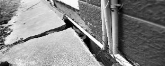 1559274389237394.jpg 100.jpg