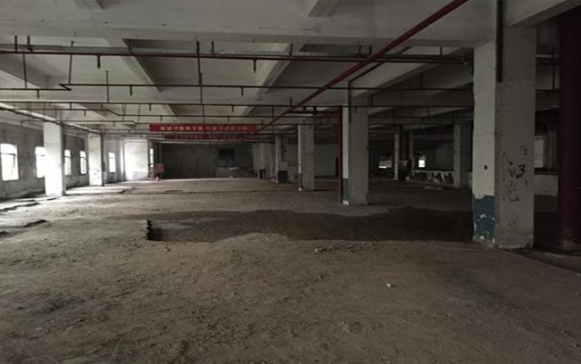 1561097297490095.jpg 15.jpg