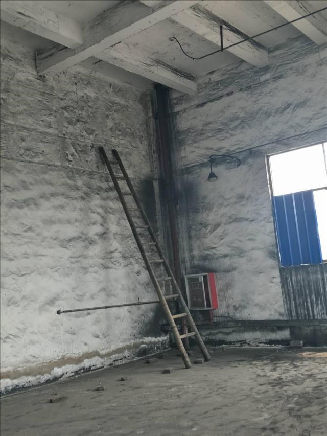 1561356198219994.jpg 4206165216.jpg