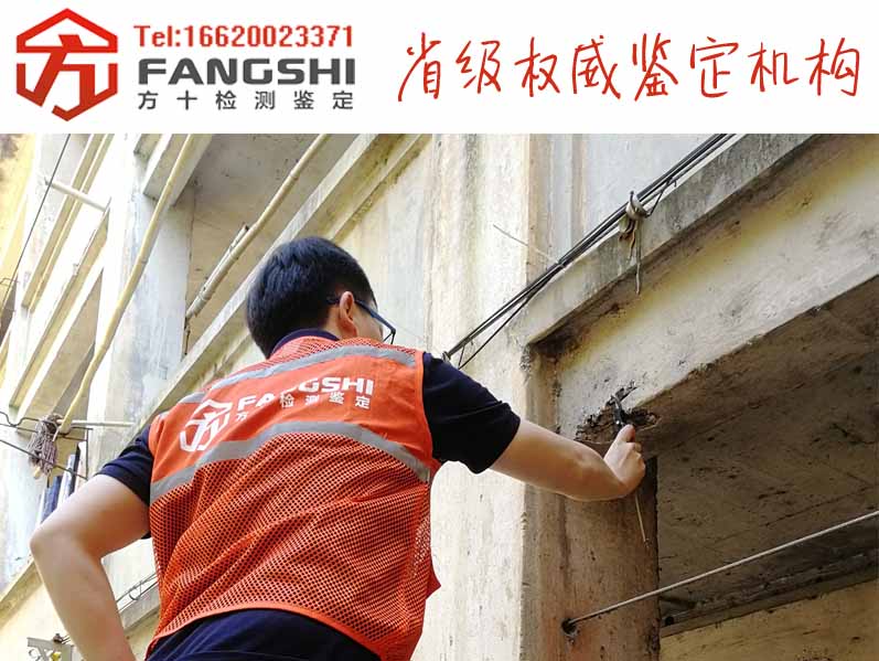 1561367455374941.jpg 47.jpg