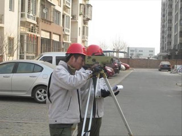 4103338700.jpg