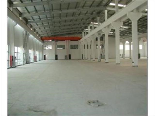 3731426186.jpg