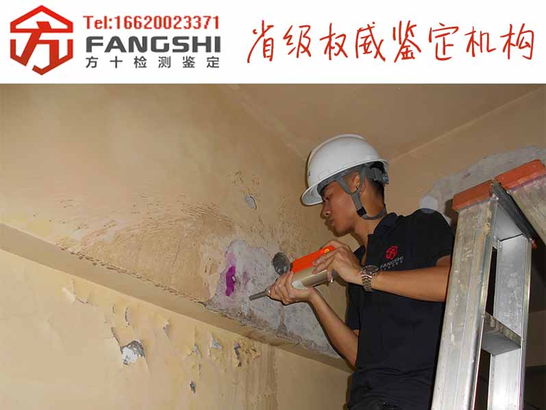 1571209204928532.jpg 72.jpg