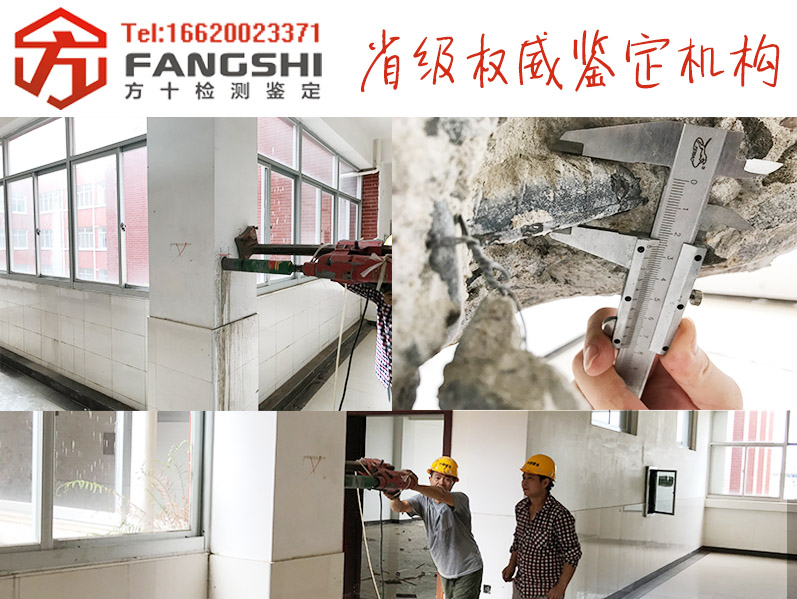 1571813772792525.jpg 43.jpg