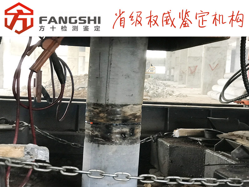 1573453049306859.jpg 6.jpg