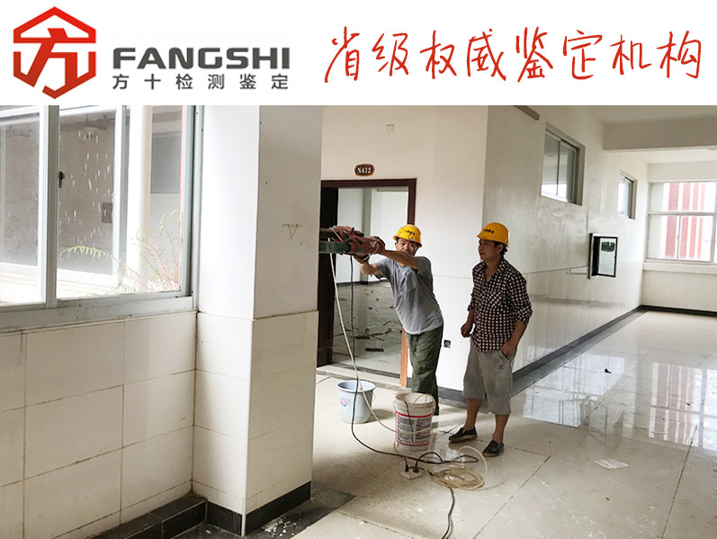 1574308706258816.jpg 42.jpg