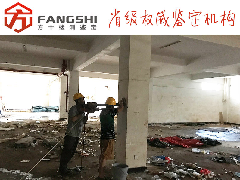 1574392895818683.jpg 38.jpg