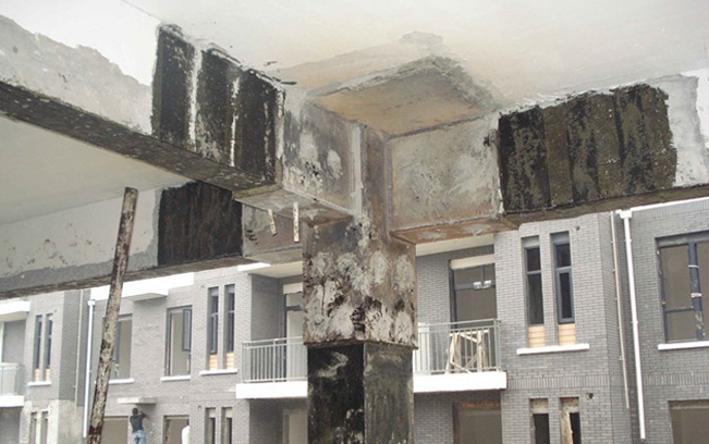 1576476116918758.jpg 19.jpg