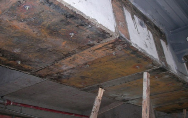 1576477273621329.jpg 18.jpg