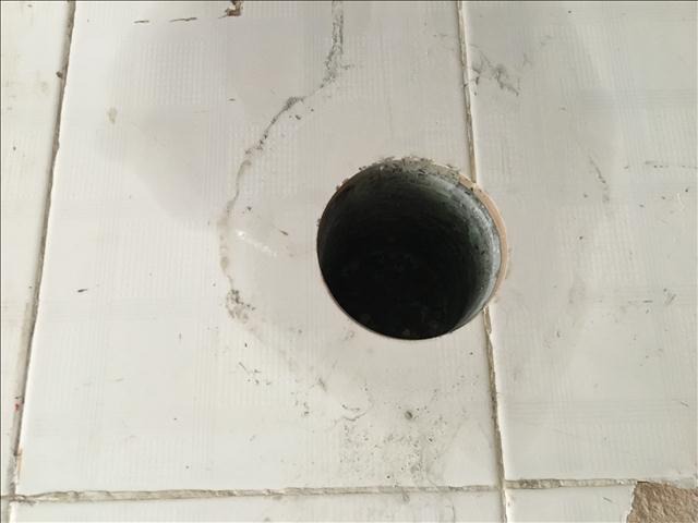 3288549493.jpg