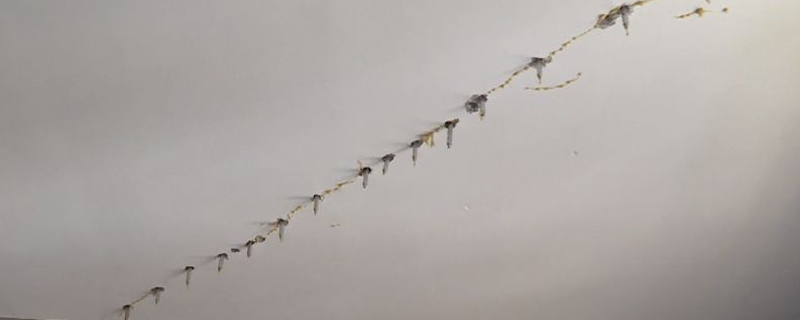 楼板漏水可怎么办？