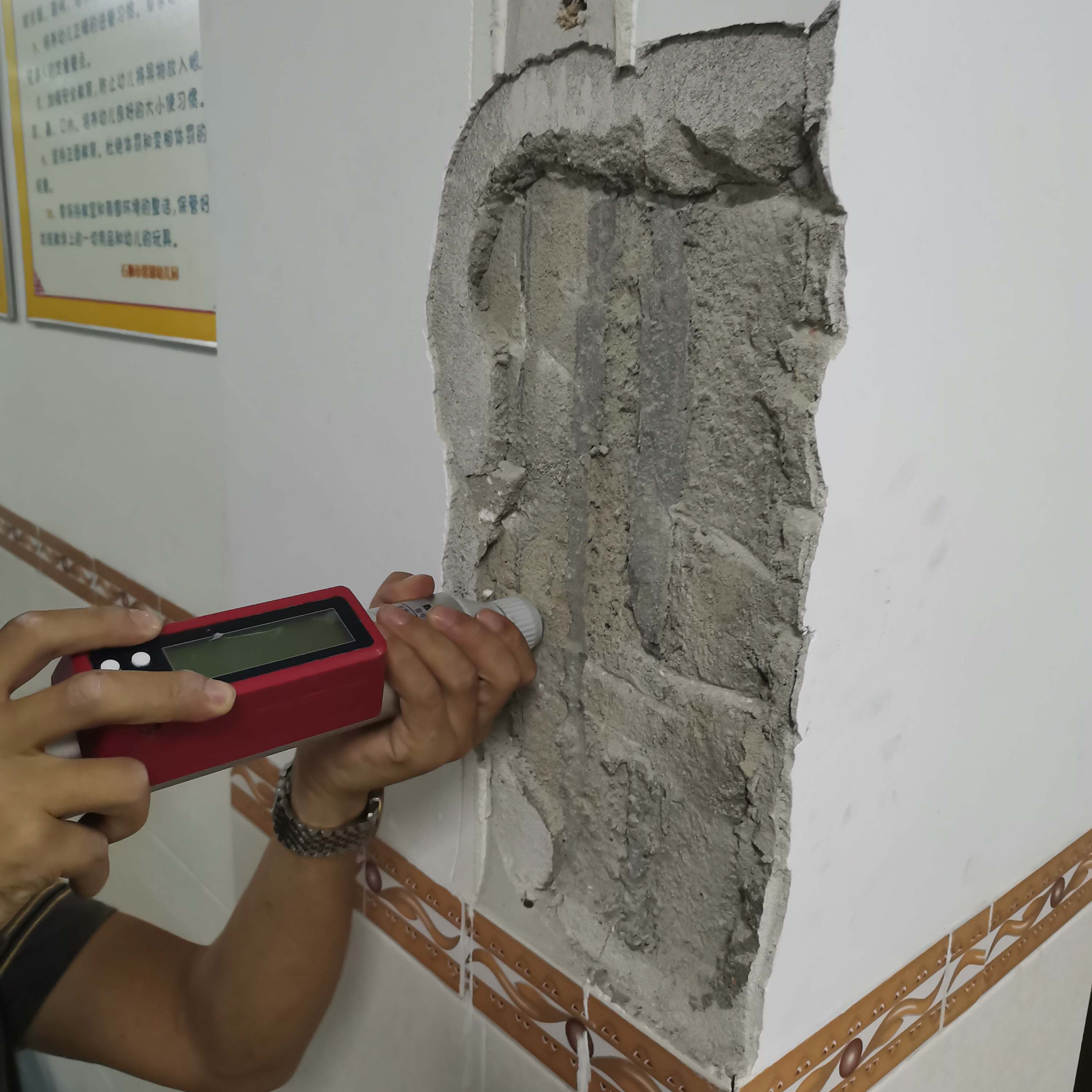 1616467946562884.jpg 18.jpg