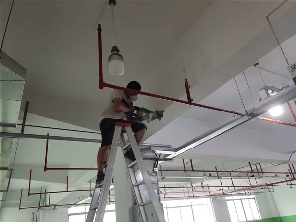 1619066612854677.jpg 837747743538250401.jpg