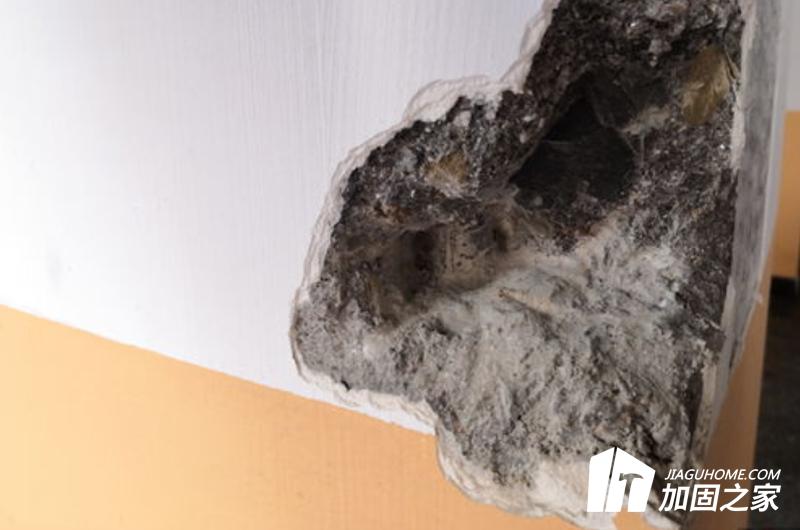 房屋安全性鉴定人员