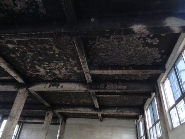 1630893408400969.jpg wKhQxFd0vBqEZe1rAAAAAEvagWI695.jpg