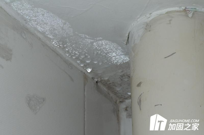 房屋漏水怎么办?常见的处理措施是什么?