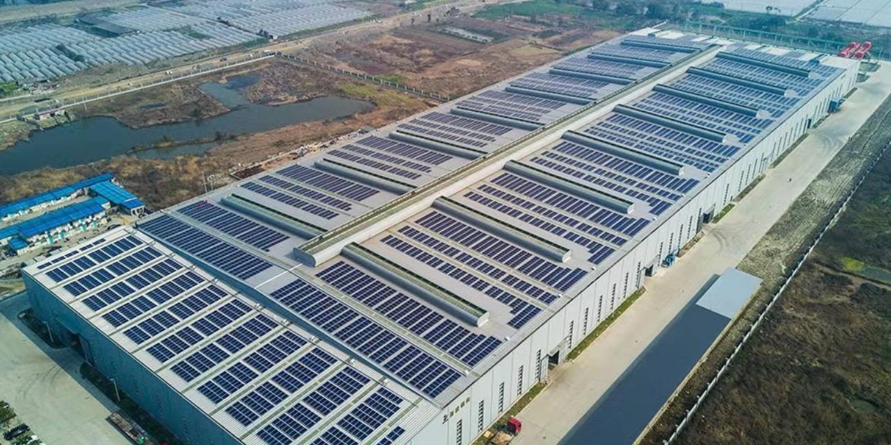 1653886679934468.jpg 5f4d50925a0b23e6d51324d3dc9753f.jpg