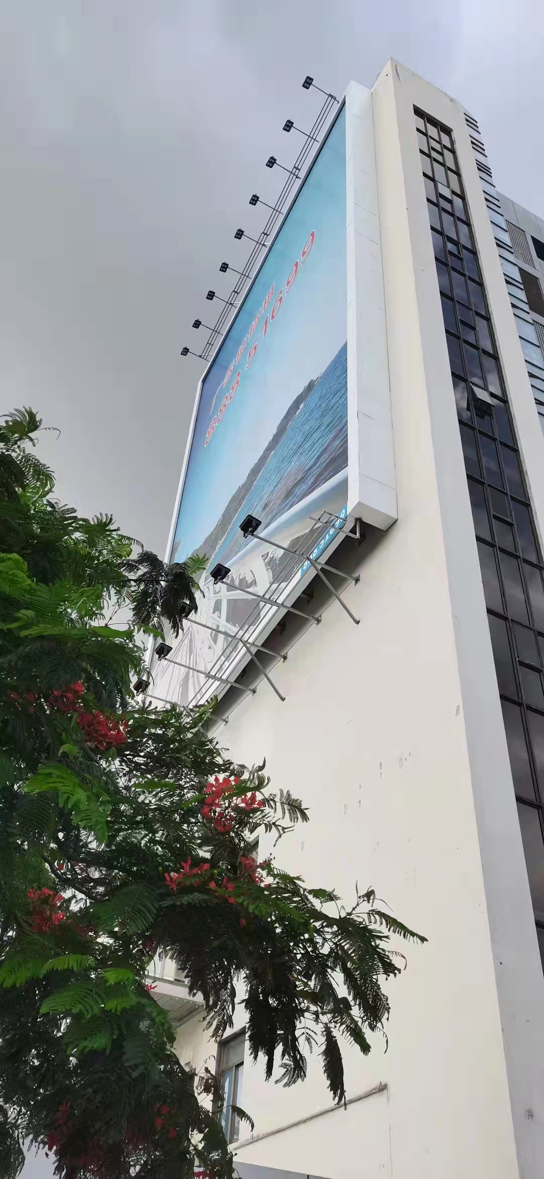 1655368888392686.jpg ecdfa5bc9571d25f6aad1e5742ded67.jpg