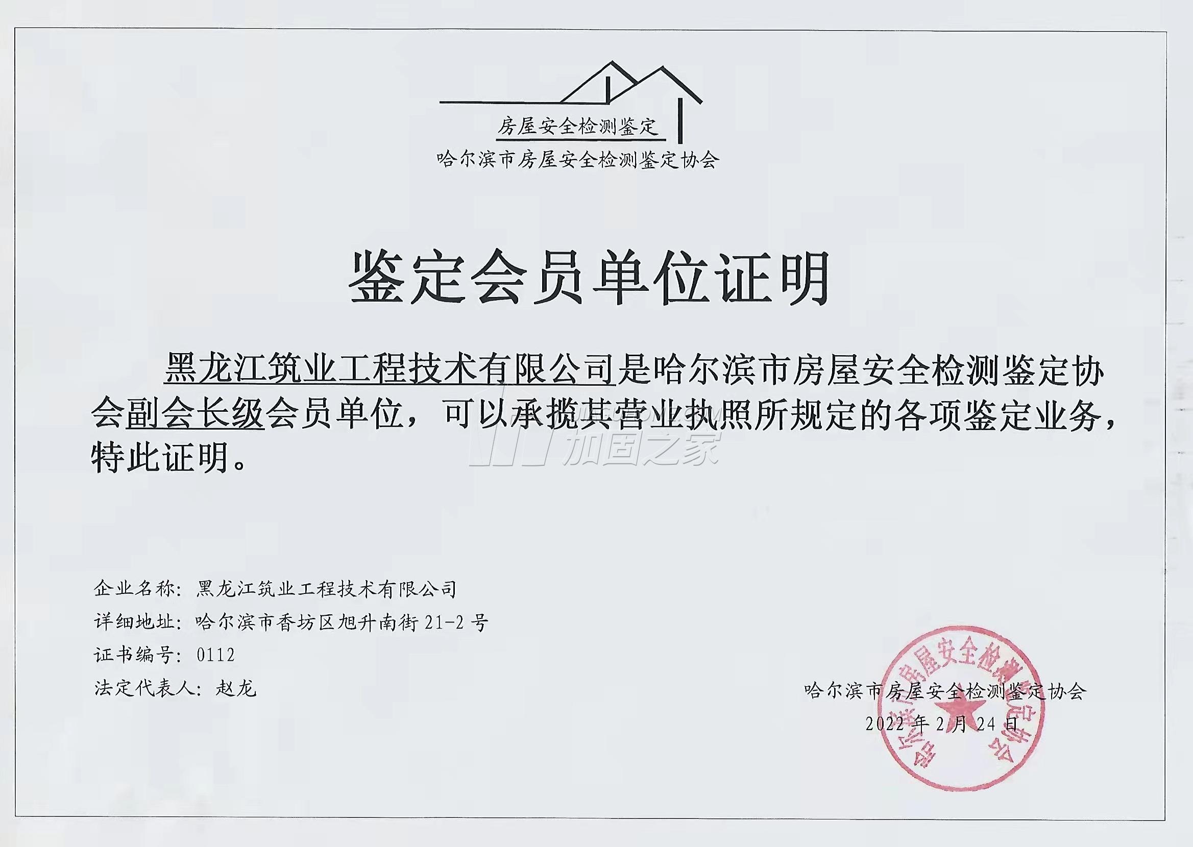 其他荣誉证书