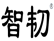 四川智韧建筑加固工程有限公司